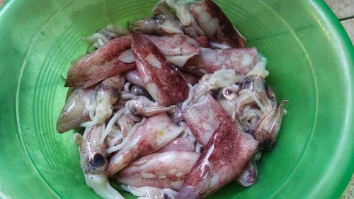 High angle view of food in plate
