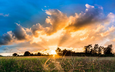 Scenic view of field against sky during sunset