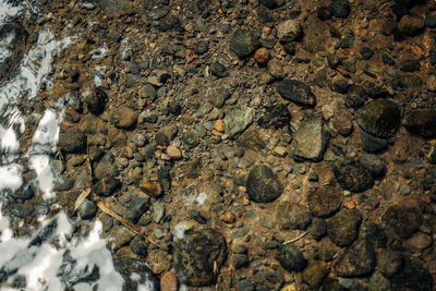 Full frame shot of rocks on beach