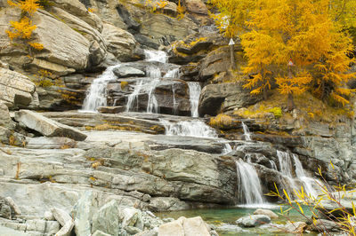 Scenic view of waterfall in forest