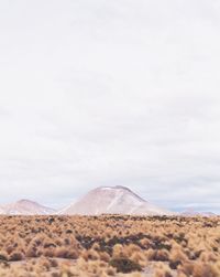 Scenic view of desert against sky