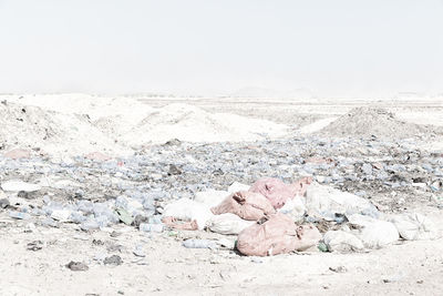 High angle view of man lying on land