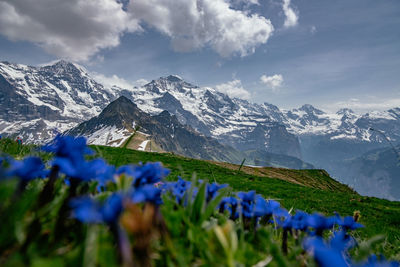 Scenic view of snowcapped mountains against sky