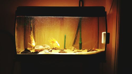 View of food in kitchen