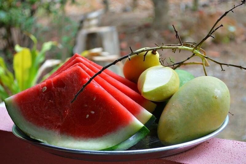 CLOSE-UP OF FRUITS IN TREE