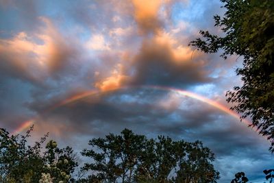 Low angle view of trees against rainbow in sky