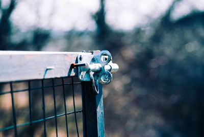 Close-up of metal fence against wall