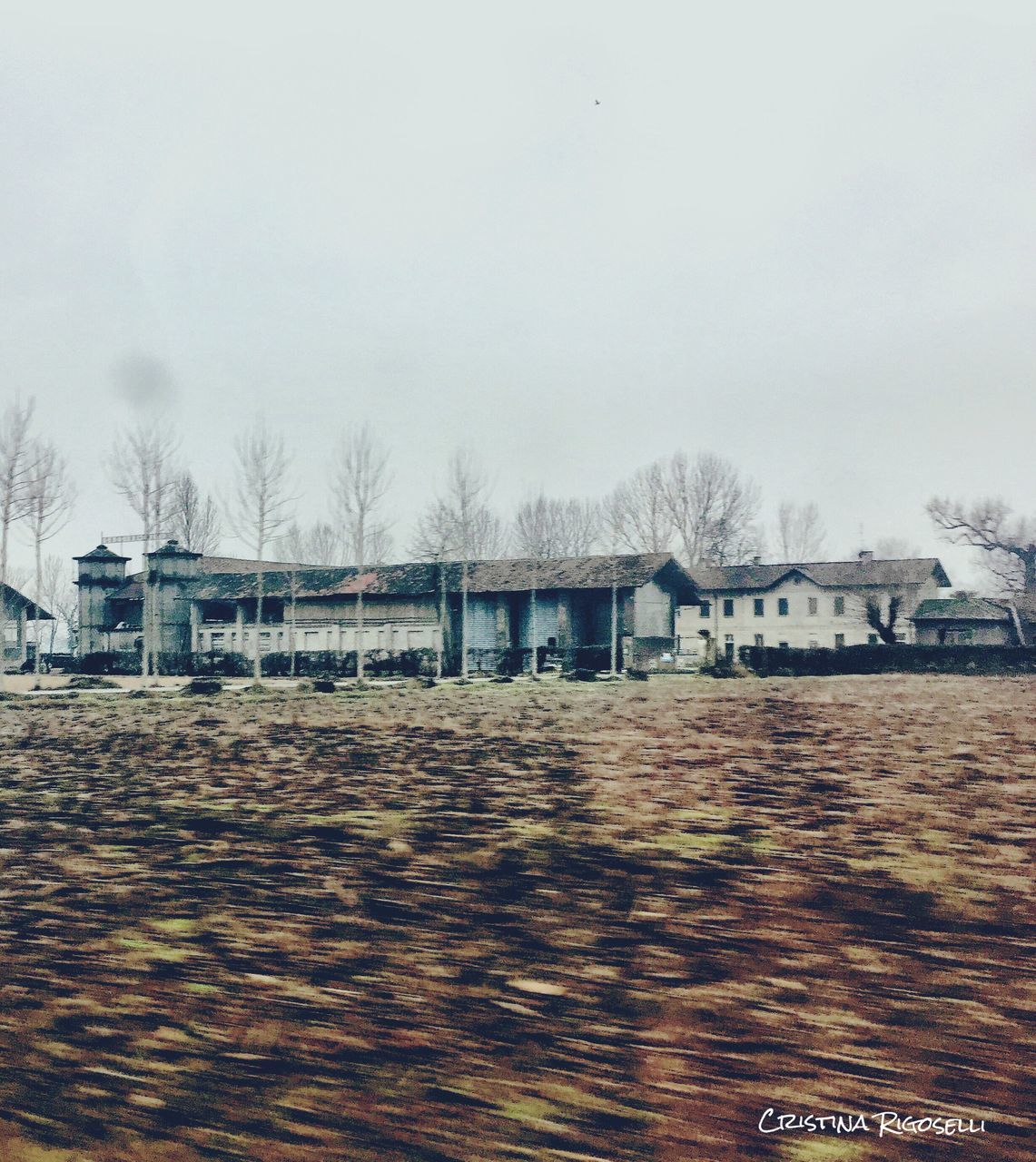 built structure, tree, sky, bare tree, no people, nature, architecture, day, building exterior, outdoors, water