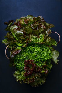 High angle view of vegetables against black background