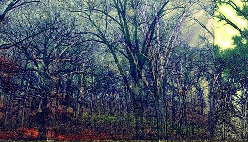 Low angle view of trees against sky