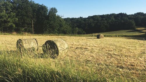 Hay bales on field against sky