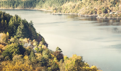 Scenic view of lake by trees in forest