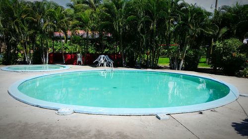 Swimming pool by palm trees