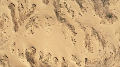 High angle view of sand dune