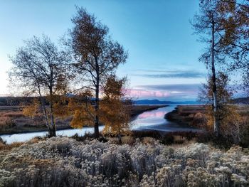 Scenic view of lake against sky during winter