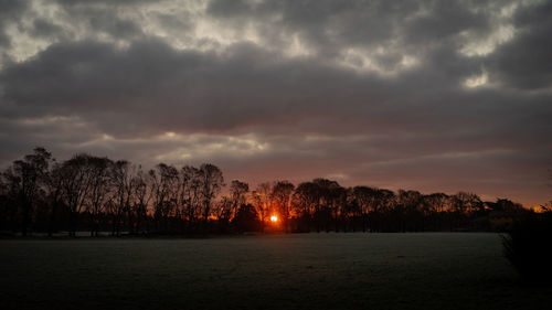 Silhouette trees on landscape against sky at sunset