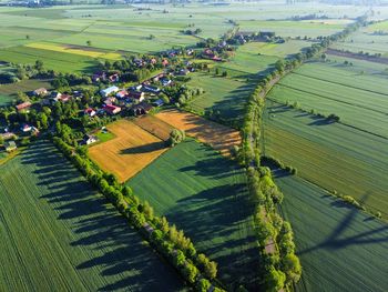 High angle view of agricultural field