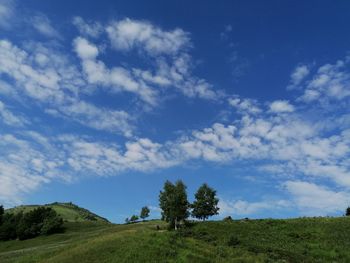 Trees on field against sky