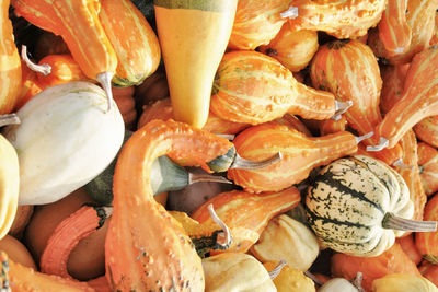 Full frame shot of pumpkins for sale