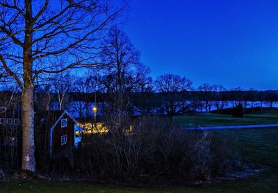 Bare trees against blue sky and clouds