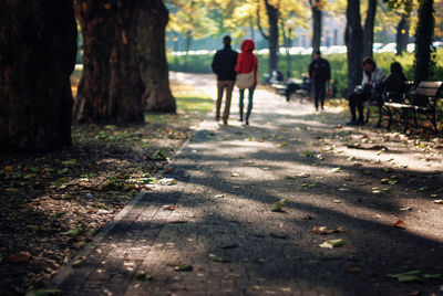 Rear view of couple walking on footpath in park