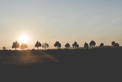 Silhouette trees growing on field against sky during sunset