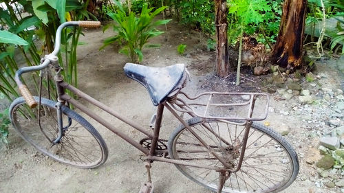 Bicycle parked by tree on field