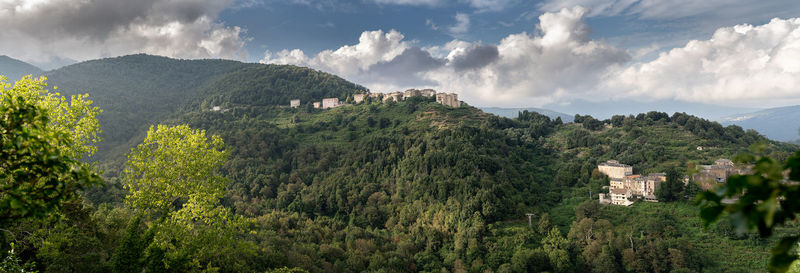 Panoramic view of trees and buildings against sky