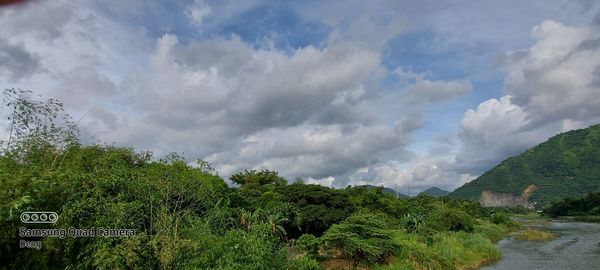 Panoramic view of trees against sky
