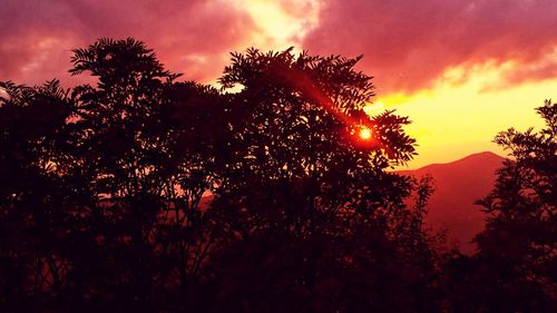 Silhouette trees against sky during sunset