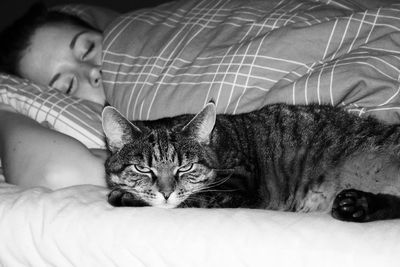 Portrait of cat relaxing on bed