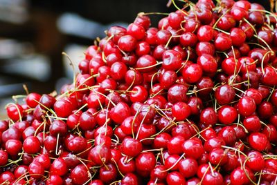 Close-up of red cherries for sale