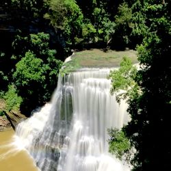 Scenic view of waterfall