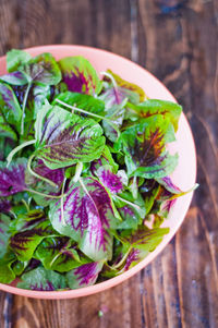 Fresh leafy purple-green spinach in a bowl on the wooden table.