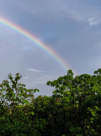 Low angle view of rainbow against sky