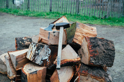 Close-up of firewood