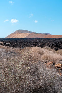 Scenic view of desert against sky