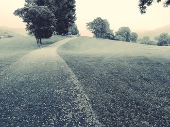 Road by trees against clear sky