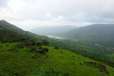 environment