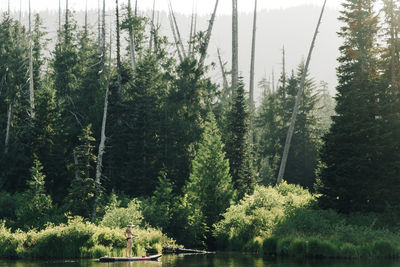 A young woman enjoys a standup paddle board on lost lake in oregon.