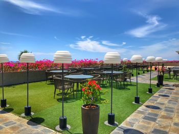 Potted plants in park against sky