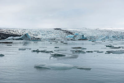 Floating icebergs in jokulsarlon glacial lagoon, iceland. global warming