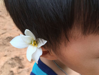 Close-up of flowers