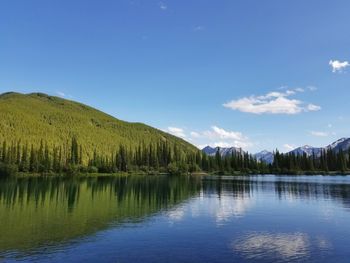 Scenic view of lake by trees against blue sky