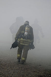 Rear view of people standing on shore
