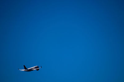 Low angle view of bird flying against clear blue sky