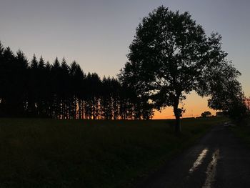 Silhouette trees on landscape against clear sky at sunset