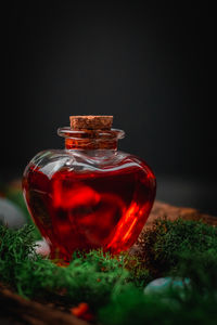 Red poison in a heart-shaped bottle lies in the bark of a tree with moss and stones on a black