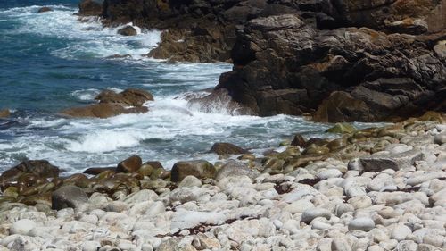 Scenic view of sea