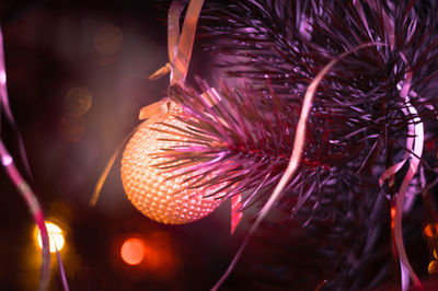 Low angle view of firework display at night